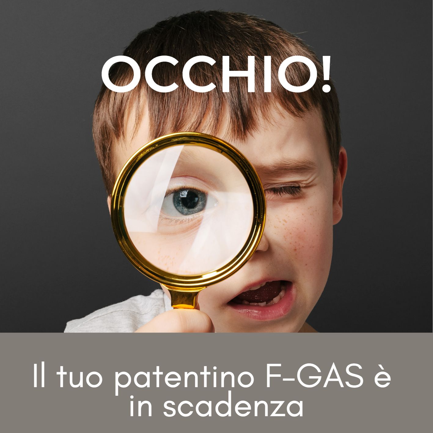 rinnovo fgas